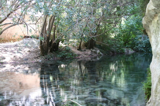 Scorcio su pantalica (Agosto 2005)